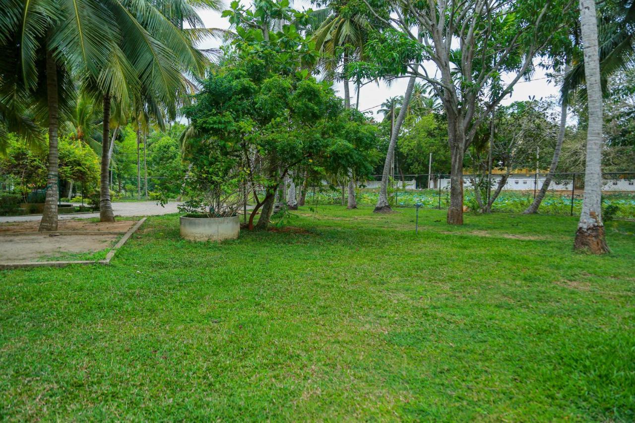 Lake Edge Holiday Inn Tissamaharama Exteriér fotografie